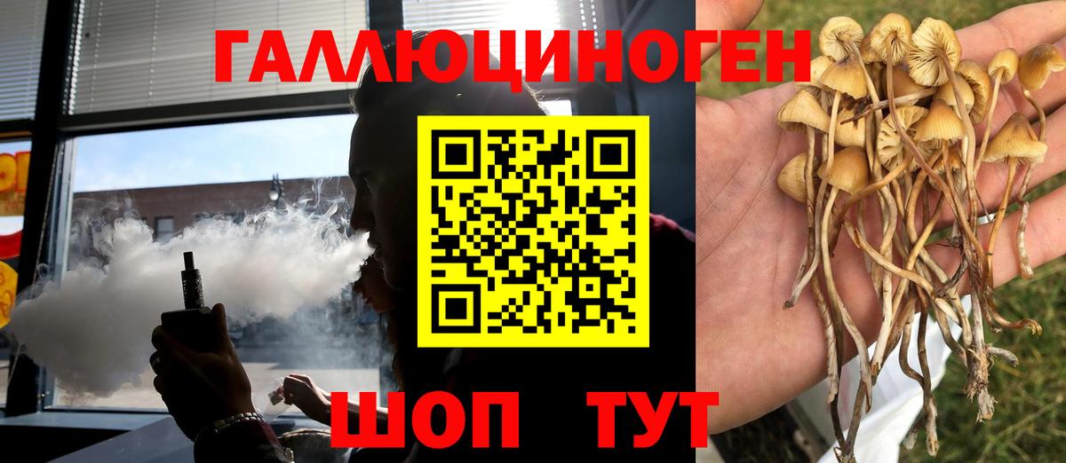 Псилоцибиновые грибы Psilocybe  Вход с VPN  Зеленокумск 